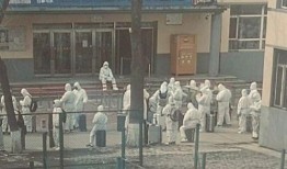 吉林省高校爆料案件最新,真相揭秘，校园安全再引关注”