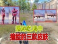 吃鸡三款皮肤爆料最新,炫酷造型与独特技能，谁能脱颖而出？