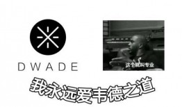 韦德之道12最新爆料,揭秘篮球鞋界的巅峰之作