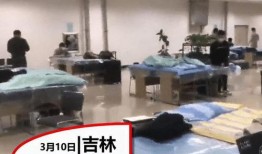 吉林省高校爆料案件最新,真相揭秘，校园安全再引关注”
