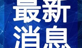 深圳吃饭爆料视频最新版,最新爆料视频带你领略地道的街头美味