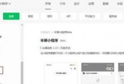 一线最新爆料小程序下载,小程序下载背后的秘密与趋势
